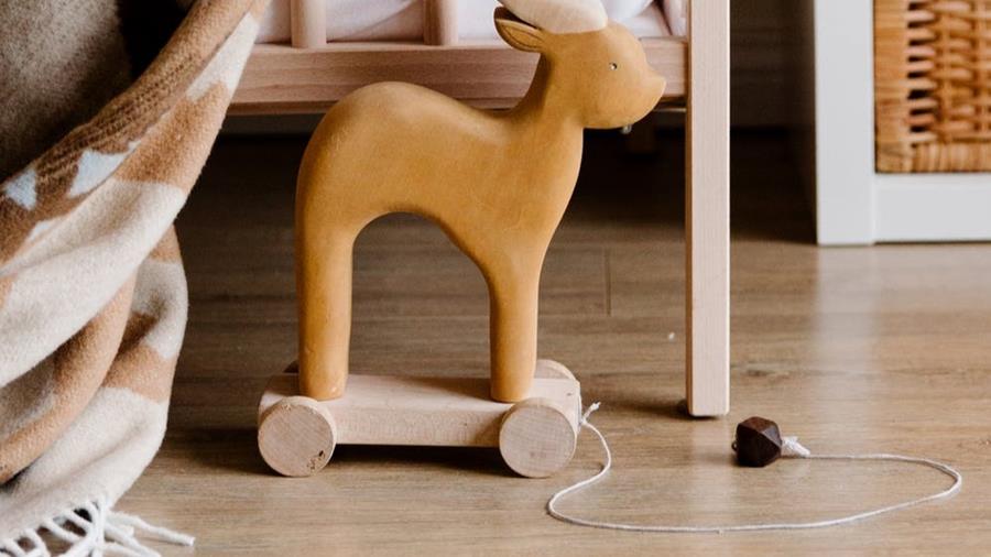 qu'est ce que le parquet