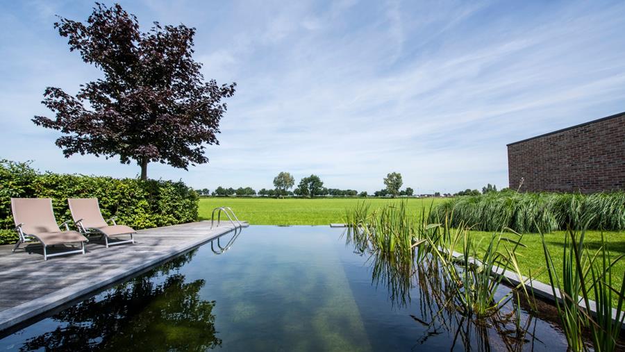 zwemvijver overloopzwembad kiezen