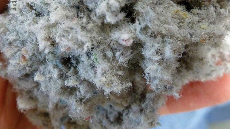 Isoproc cellulose minerale isolatie