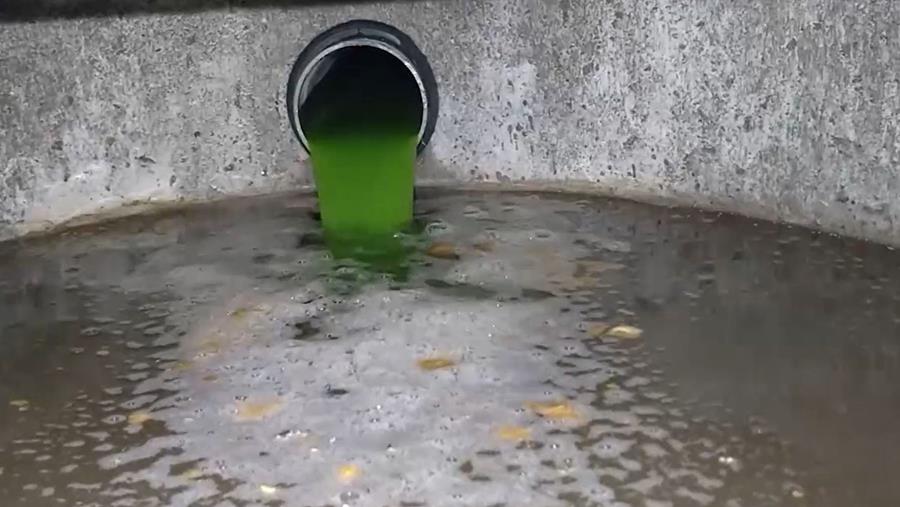 kleurwater fosse septique