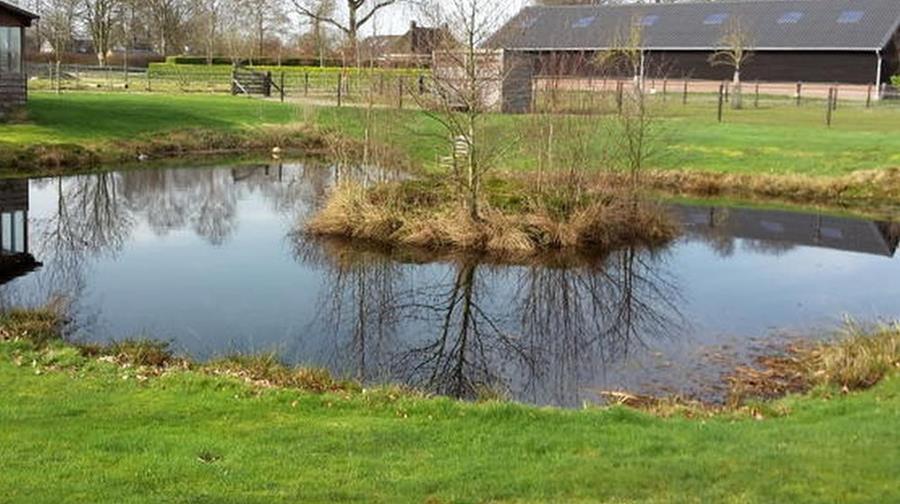 vijver water open systeem