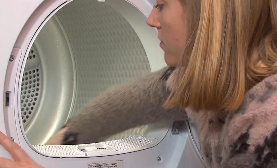 onderhoud secher linge