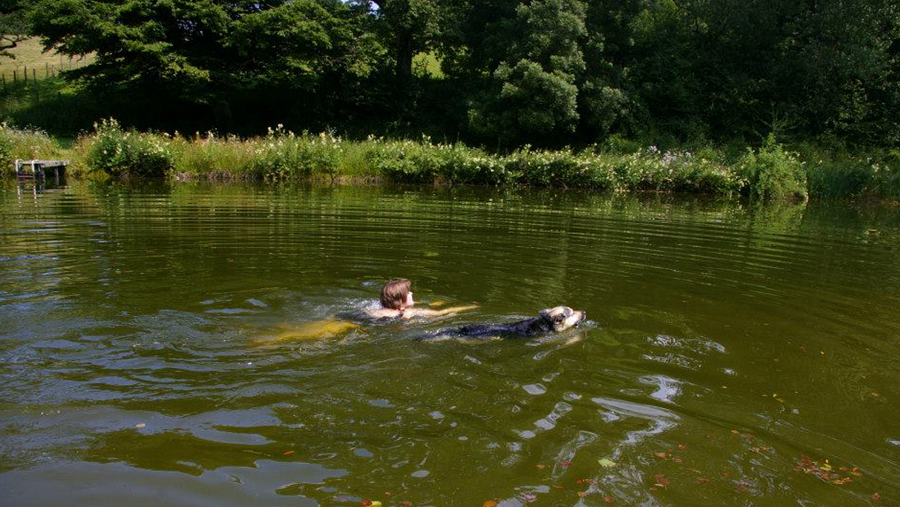 Zwemvijver natuur zwemvijver