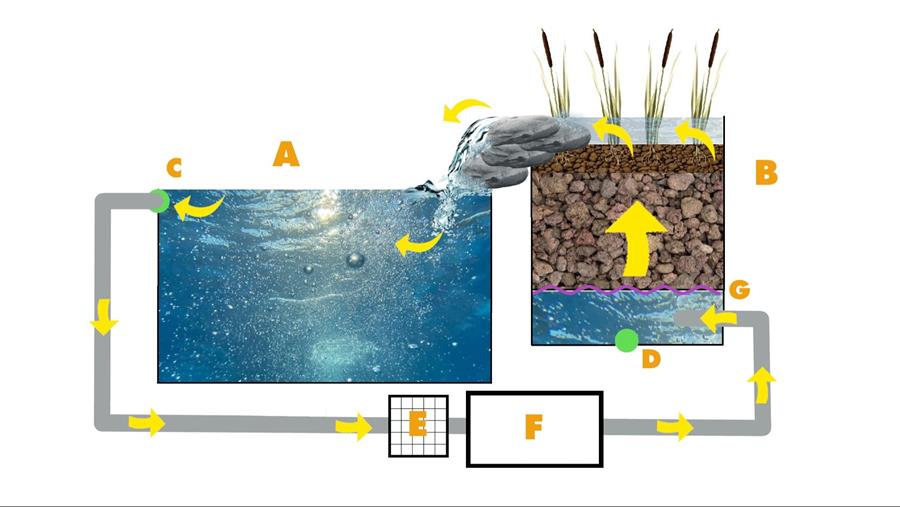 Upflow zwemvijver