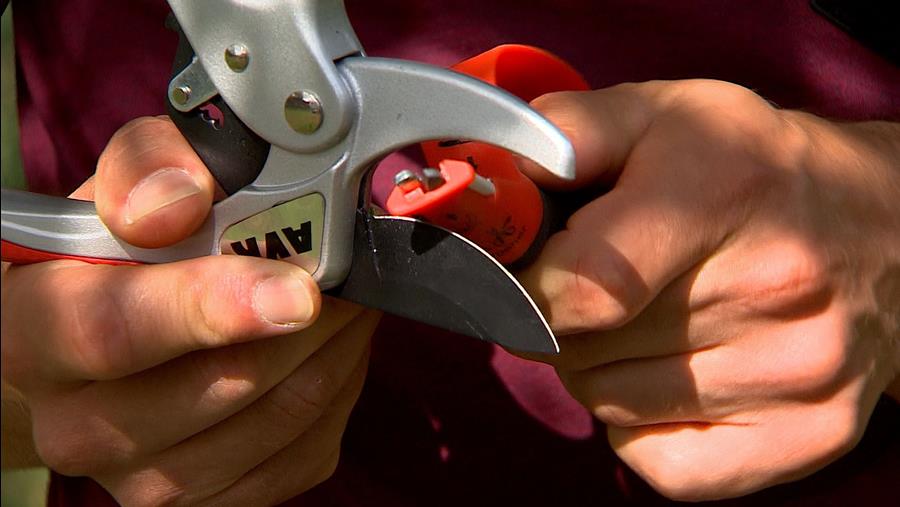 wettool vos outils de taille
