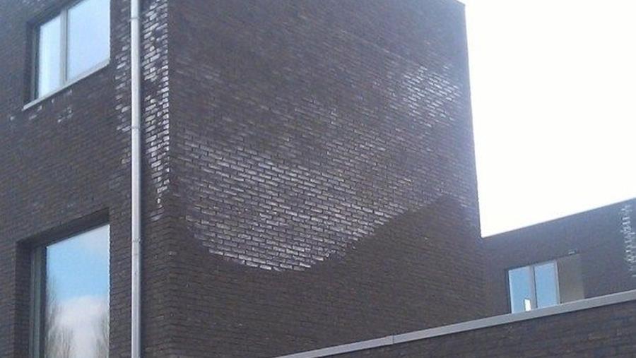 uitbloeiing op gevelstenen