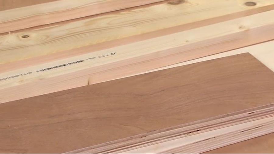 nerven hout kiezen