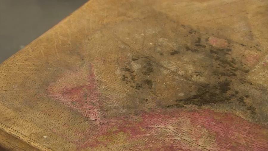 houtrot schimmel houtproblemen oplossen