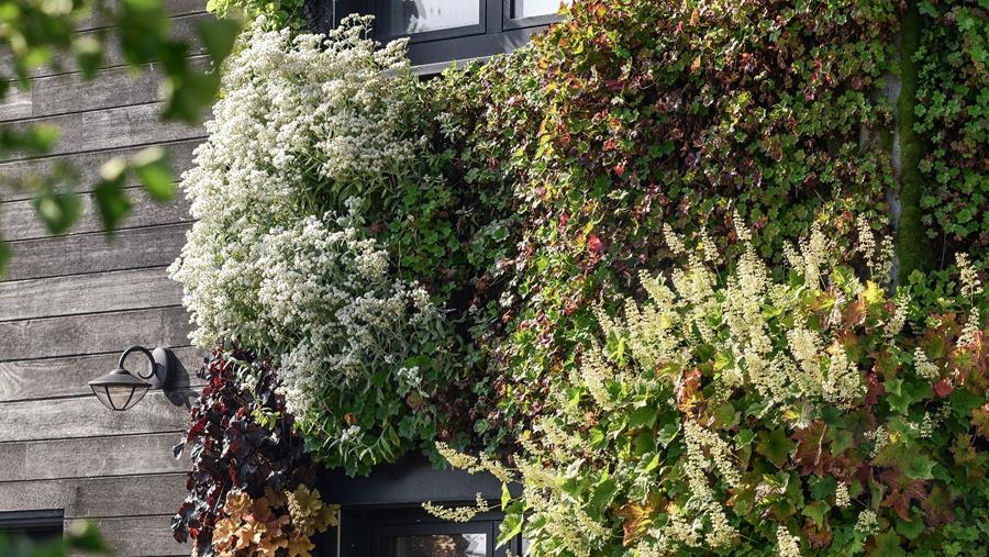Isolatie verticale tuin Ecoworks