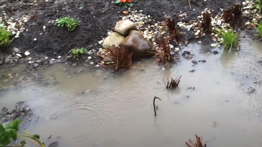 wadi met regenwater