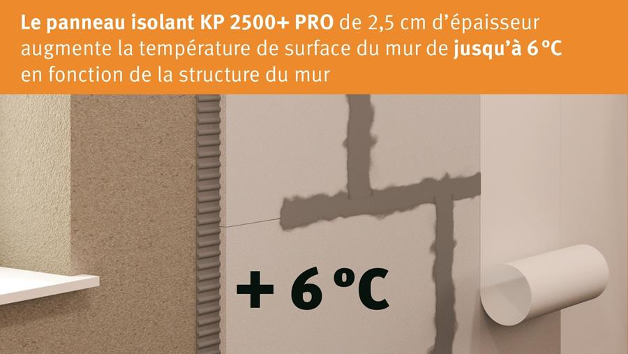 Problèmes d'isolation et de moisissures2