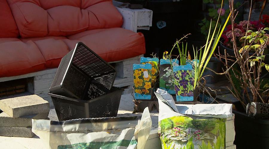 vijverplanten benodigdheden