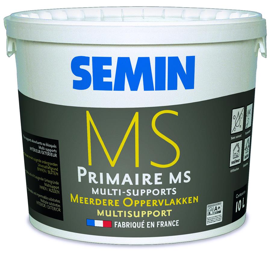 semin primer ms