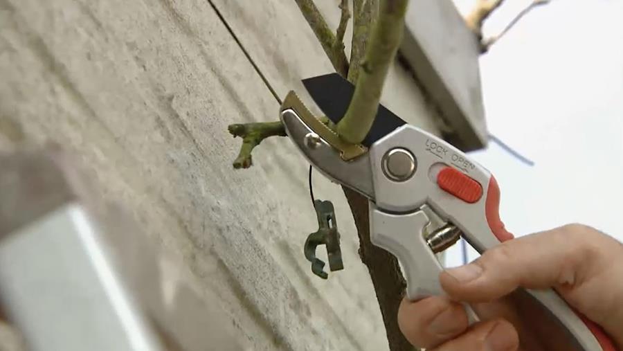 ooievaarsbek Tailler et broyer: les outils à utiliser