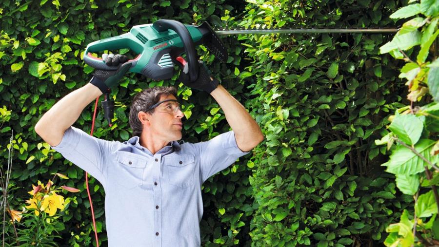 elektrisch snoeien choisir outils élagage