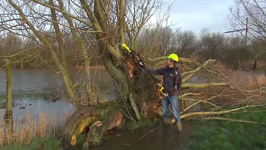 bescherming snoeigereedschap kiezen