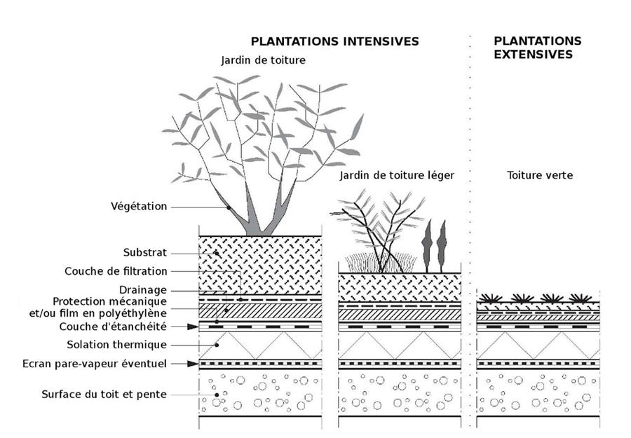 plantation Une toiture verte extensives, c'est quoi?