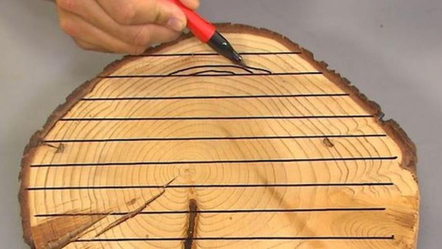 eigenschappen hout kiezen