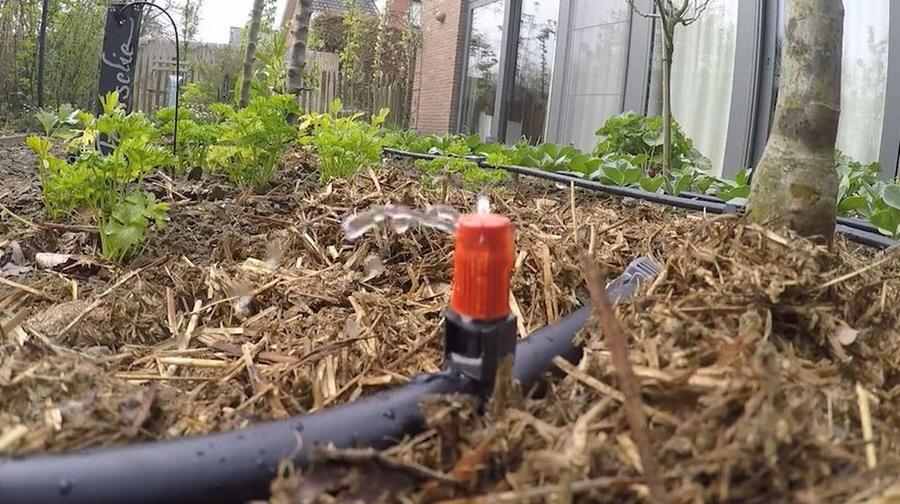 druppelbevloeiing Arroser par l'arrosage goutte à goutte